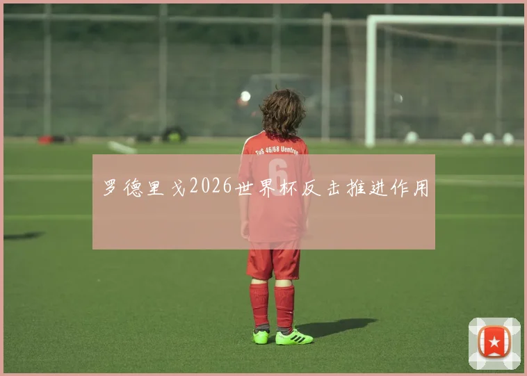 罗德里戈2026世界杯反击推进作用