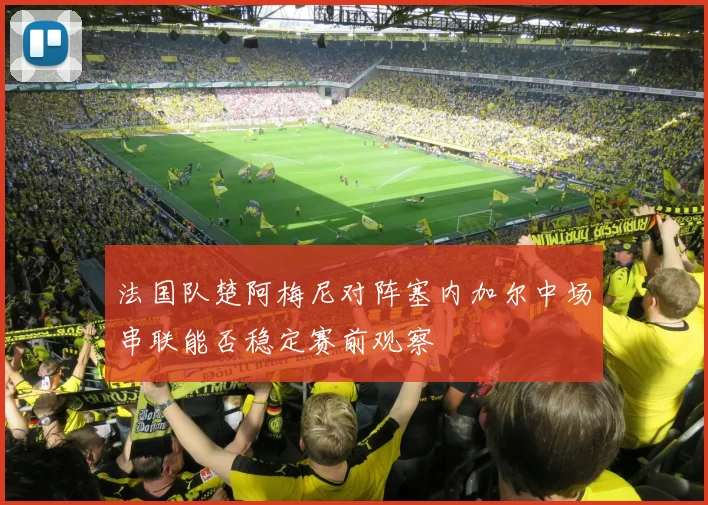 法国队楚阿梅尼对阵塞内加尔中场串联能否稳定赛前观察