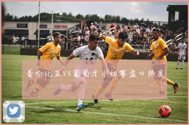 哥伦比亚vs葡萄牙小组赛盘口热度