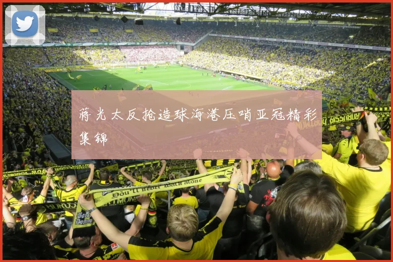 蒋光太反抢造球海港压哨亚冠精彩集锦
