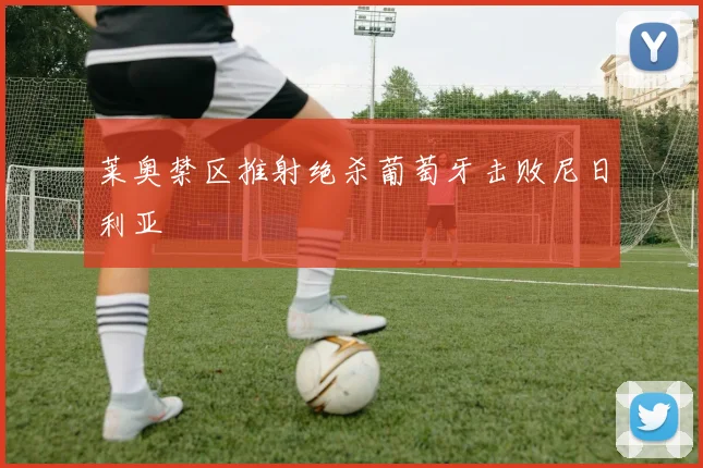 莱奥禁区推射绝杀葡萄牙击败尼日利亚