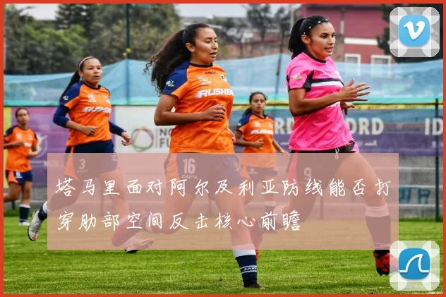 塔马里面对阿尔及利亚防线能否打穿肋部空间反击核心前瞻