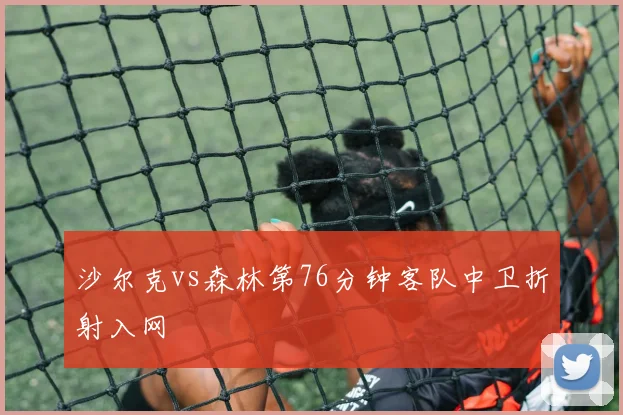 沙尔克vs森林第76分钟客队中卫折射入网