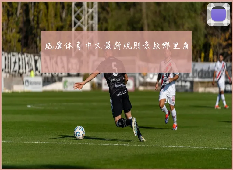 威廉体育中文最新规则条款哪里看